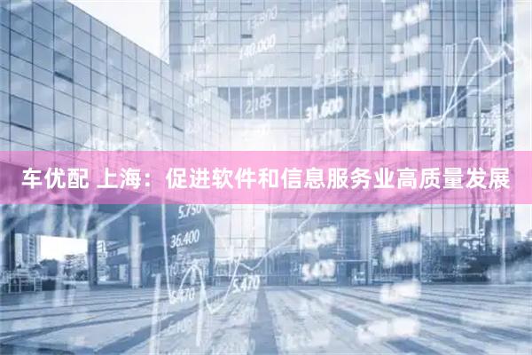 车优配 上海：促进软件和信息服务业高质量发展